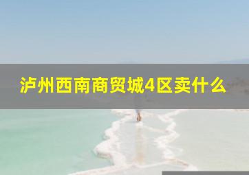 泸州西南商贸城4区卖什么