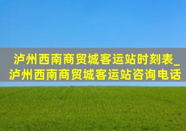 泸州西南商贸城客运站时刻表_泸州西南商贸城客运站咨询电话