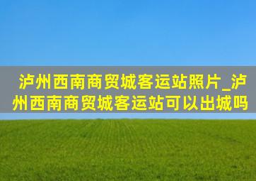 泸州西南商贸城客运站照片_泸州西南商贸城客运站可以出城吗