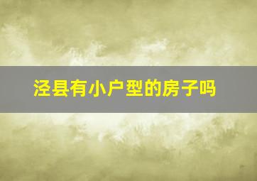 泾县有小户型的房子吗