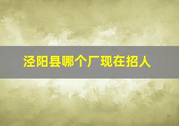 泾阳县哪个厂现在招人