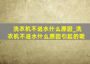 洗衣机不进水什么原因_洗衣机不进水什么原因引起的呢