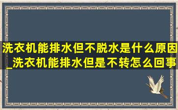 洗衣机能排水但不脱水是什么原因_洗衣机能排水但是不转怎么回事