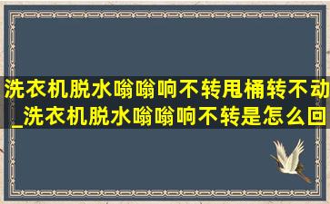 洗衣机脱水嗡嗡响不转甩桶转不动_洗衣机脱水嗡嗡响不转是怎么回事