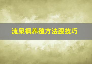 流泉枫养殖方法跟技巧