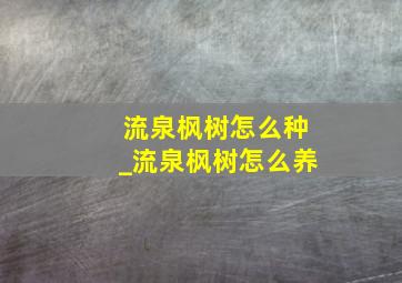 流泉枫树怎么种_流泉枫树怎么养