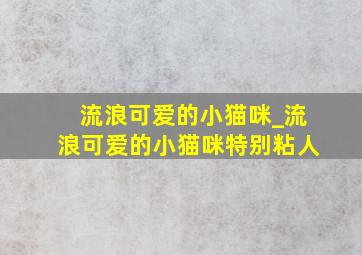 流浪可爱的小猫咪_流浪可爱的小猫咪特别粘人