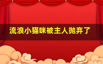 流浪小猫咪被主人抛弃了