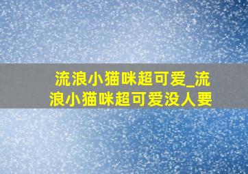 流浪小猫咪超可爱_流浪小猫咪超可爱没人要