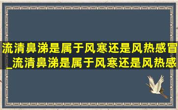 流清鼻涕是属于风寒还是风热感冒_流清鼻涕是属于风寒还是风热感冒夏天