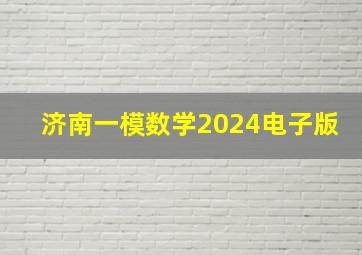 济南一模数学2024电子版