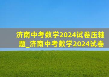 济南中考数学2024试卷压轴题_济南中考数学2024试卷