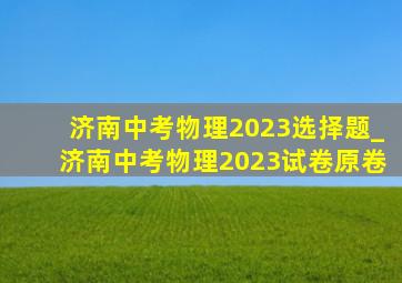 济南中考物理2023选择题_济南中考物理2023试卷原卷