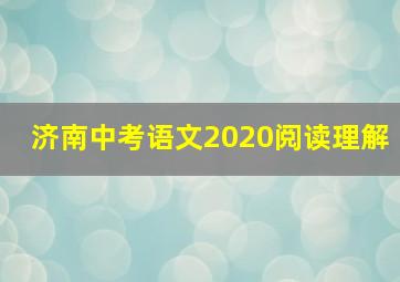 济南中考语文2020阅读理解