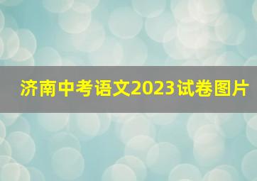 济南中考语文2023试卷图片