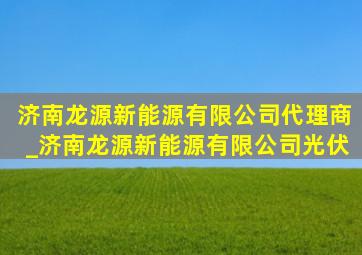 济南龙源新能源有限公司代理商_济南龙源新能源有限公司光伏