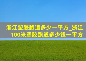 浙江塑胶跑道多少一平方_浙江100米塑胶跑道多少钱一平方