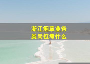 浙江烟草业务类岗位考什么