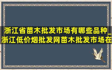 浙江省苗木批发市场有哪些品种_浙江(低价烟批发网)苗木批发市场在哪