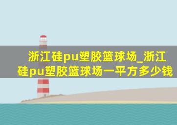 浙江硅pu塑胶篮球场_浙江硅pu塑胶篮球场一平方多少钱