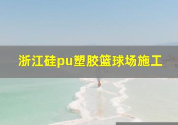 浙江硅pu塑胶篮球场施工