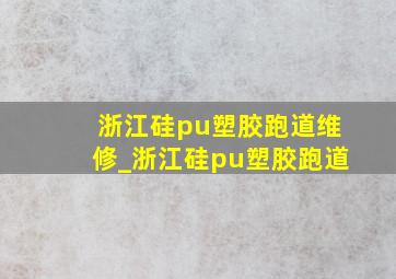 浙江硅pu塑胶跑道维修_浙江硅pu塑胶跑道