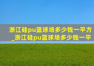 浙江硅pu篮球场多少钱一平方_浙江硅pu篮球场多少钱一平