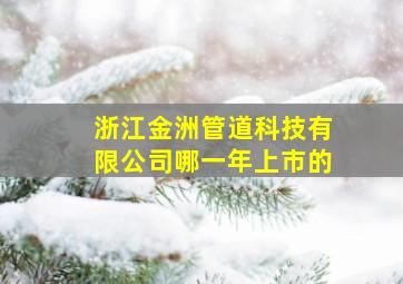 浙江金洲管道科技有限公司哪一年上市的