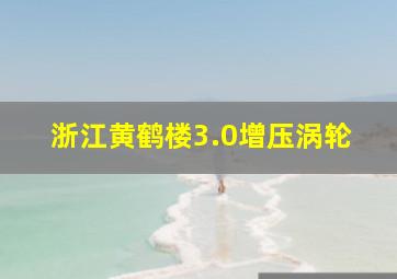 浙江黄鹤楼3.0增压涡轮