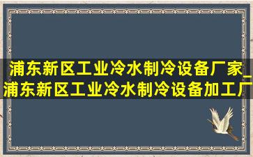 浦东新区工业冷水制冷设备厂家_浦东新区工业冷水制冷设备加工厂