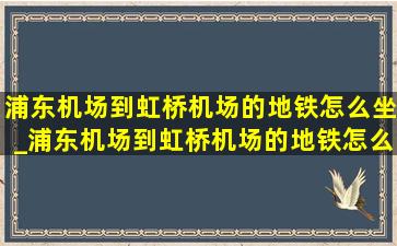 浦东机场到虹桥机场的地铁怎么坐_浦东机场到虹桥机场的地铁怎么走