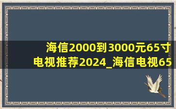 海信2000到3000元65寸电视推荐2024_海信电视65寸3000到4000推荐