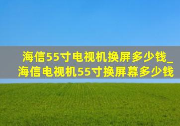 海信55寸电视机换屏多少钱_海信电视机55寸换屏幕多少钱