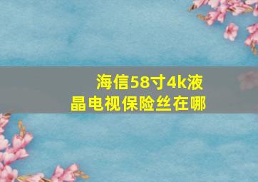 海信58寸4k液晶电视保险丝在哪