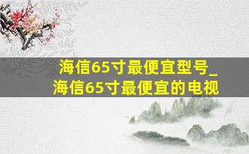 海信65寸最便宜型号_海信65寸最便宜的电视