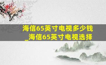 海信65英寸电视多少钱_海信65英寸电视选择