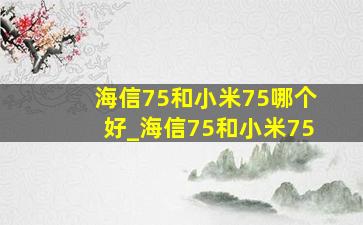 海信75和小米75哪个好_海信75和小米75