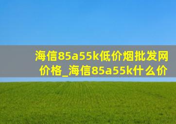 海信85a55k(低价烟批发网)价格_海信85a55k什么价