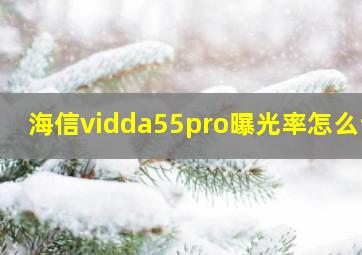 海信vidda55pro曝光率怎么调