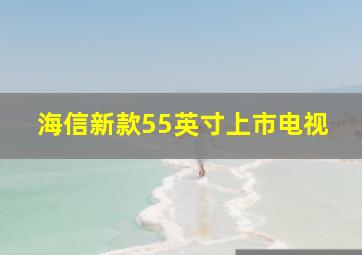 海信新款55英寸上市电视