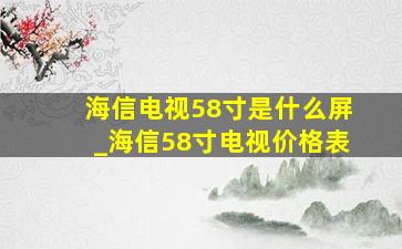 海信电视58寸是什么屏_海信58寸电视价格表