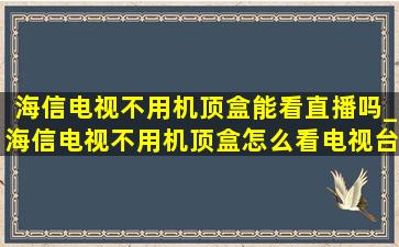 海信电视不用机顶盒能看直播吗_海信电视不用机顶盒怎么看电视台