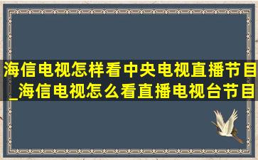 海信电视怎样看中央电视直播节目_海信电视怎么看直播电视台节目