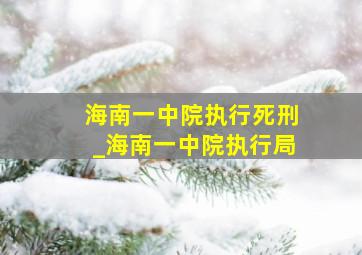 海南一中院执行死刑_海南一中院执行局