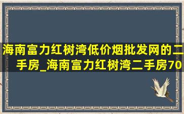 海南富力红树湾(低价烟批发网)的二手房_海南富力红树湾二手房70平方米