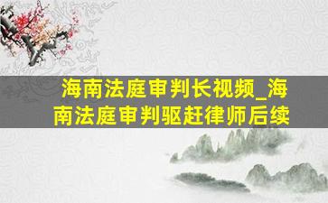 海南法庭审判长视频_海南法庭审判驱赶律师后续