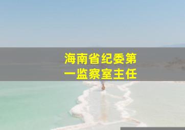 海南省纪委第一监察室主任