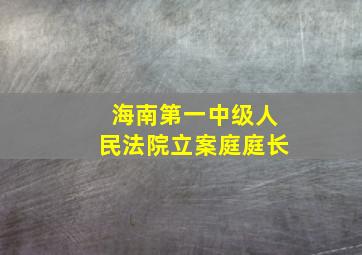 海南第一中级人民法院立案庭庭长