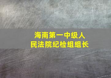 海南第一中级人民法院纪检组组长