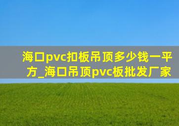 海口pvc扣板吊顶多少钱一平方_海口吊顶pvc板批发厂家